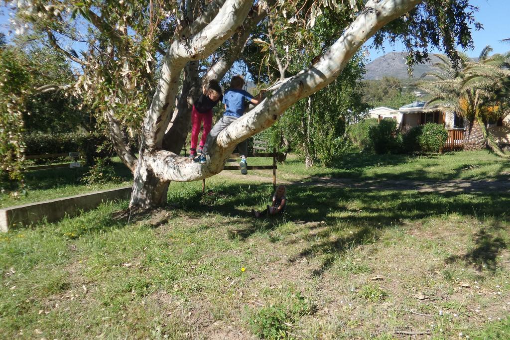 Camping Mobile Home U Sole Marinu Patrimonio Exteriér fotografie